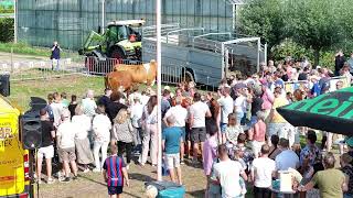 Oranjefeesten 2024 Schijt je rijk in Noordwijkerhout [upl. by Julina321]