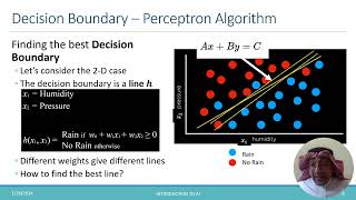 Explination of the Perceptron algorithm in AI [upl. by Enicul]