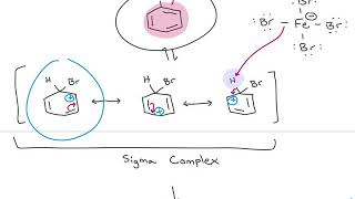 Draw the Mechanism for the Sulfonation of Benzene [upl. by Neda]