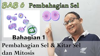 KSSM Bio Ting 4  Bab 6  Pembahagian Sel Part 1 Kitar Sel dan Mitosis [upl. by Ailatan]