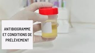 Antibiogramme et Conditions de prélèvement [upl. by Nicram]