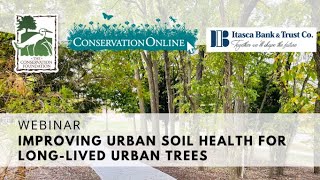 Improving Urban Soil Health for LongLived Urban Trees and nonwoody plants too [upl. by Thant]