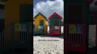 Iconic Muizenberg Beach Huts look like they’ve been coloured with a box of crayons beach capetown [upl. by Strephonn]