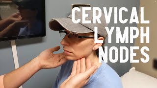 Cervical Lymph Node Exam [upl. by Lav538]