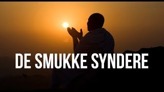 De Smukke Syndere Vigtig Påmindelse [upl. by Ephrayim793]