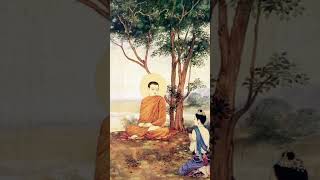 Amrapali Song  Buddhist song  Gautam Buddha Status  Buddham Saranam Gacchami [upl. by Fonz]