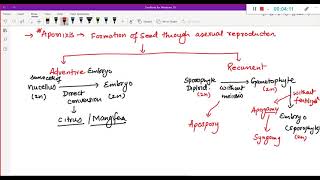 apomixis polyembryony apospory and apogamy [upl. by Ahsino]
