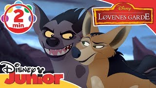 Løvenes garde  Musikk Vi er smartest 🎓 Disney Junior Norge [upl. by Babette859]