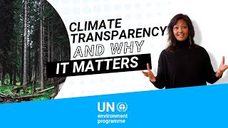 Climate transparency and why it matters [upl. by Beore]