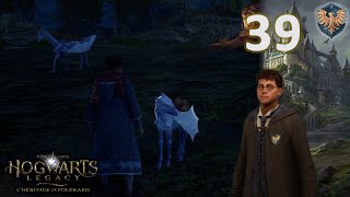 Hogwarts Legacy 39  Le Poulain qui Sauva son Espèce [upl. by Sessylu]