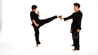 How to Do a Roundhouse Kick  Taekwondo Training [upl. by Ruperta744]