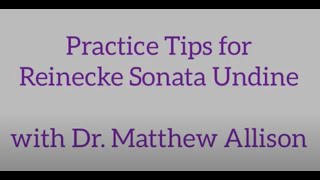 Practice Tips for Reinecke Sonata Undine [upl. by Fisch]