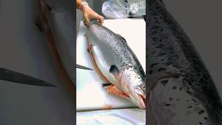 Big Salmon Fish Cutting Excellent Skills in Easy and Best Way l 😍 l shorts salmon fishcutting [upl. by Hetty401]