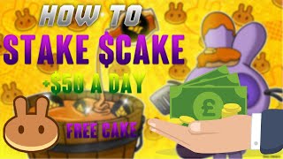 PancakeSwap Syrup Pool Explained  How To Stake Coins  Passive Income [upl. by Nevart]