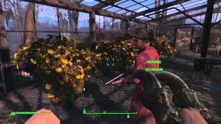 fallout 4 mutfruit location about 16 plants in one area [upl. by Amehr434]