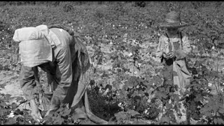 Daily Life As a Sharecropper  Documentary Clip [upl. by Darryn]