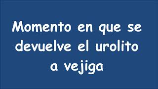 Retrohidropropulsión monitoreada por ecografía [upl. by Eugenia]