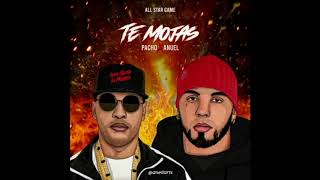 Pacho El Antifeka Ft Anuel AA  Te Mojas [upl. by Erihppas125]