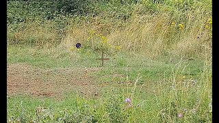 KOFS 410 clay pigeon shooting at Colerne Clay Club 4th August 2024 [upl. by Fillander]