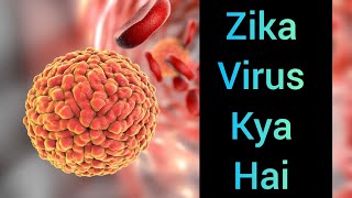 Zika Virus Explained Symptoms Transmission amp Prevention quotzika virus kya haiquot [upl. by Laemaj]