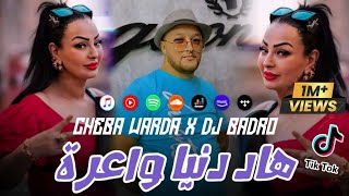 Cheba Warda × Dj Badro  Hadi Denya Wa3ra  Beat Trap Rai  2024 [upl. by Kcoj]