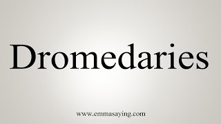 How To Say Dromedaries [upl. by Sainana]