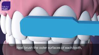 How to Brush Your Teeth Animation MCM [upl. by Malorie]