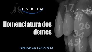 Nomenclatura dos dentes [upl. by Ilamad]