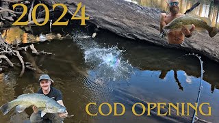 Land based Murray COD fishing in Central West NSW Spinner baits and Surface Lures [upl. by Einnoj]