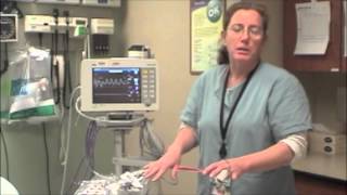 Introduction to Capnography [upl. by Heymann78]