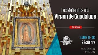 Mañanitas a la Virgen de Guadalupe  EN VIVO [upl. by Heyward]