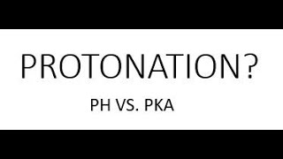 Protonation and Amino Acids PH VS PKA [upl. by Dymoke]