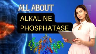 Alkaline Phosphatase Test  ALP Test ALP Normal Range Causes of Low ALPHigh ALP amp Its Functions [upl. by Veronique863]