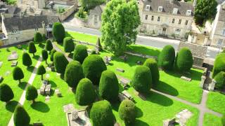 A focus on Yew hedging All you need to know about Taxus Baccata [upl. by Nimrac]