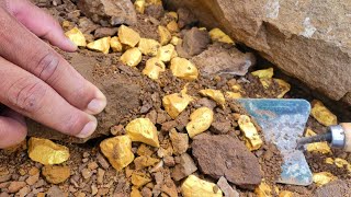 Amazing the most expensive discovered goldGold nugget found [upl. by Kalmick]