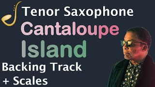 Cantaloupe Island Tenor Saxophone  Backing Track  Improvisation Jazz Standard [upl. by Atteiluj]