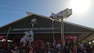 Traditional Bench Lion Dance  Ray White Dalkeith 2023 [upl. by Kresic]