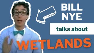 Fabulous Wetlands with Bill Nye The Science Guy 1989 [upl. by Artus]