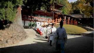 旅の星 Tabinohoshi 「春日大社 旬祭と紅葉」 Kasuga Taisha Japan vol5 [upl. by Loris411]