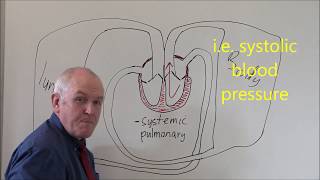 Heart 3 Pulmonary and Systemic circulation [upl. by Etteloc]