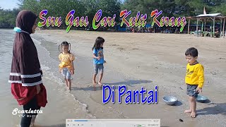 Trio Luccu Mencari Kulit Kerang Di Pantai Scarletta TV Kidz [upl. by Nimar]