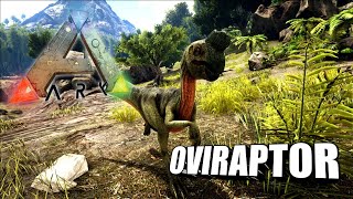 Taming A Oviraptor  Ark Survival Evolved  The Island [upl. by December]