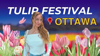 Canadian Tulip Festival 🌷 2024  Ottawa [upl. by Henson]