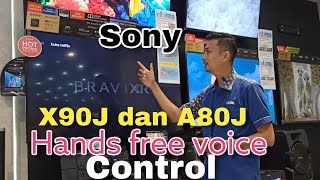 cara mengaktifkan hands free voice control sony X90J dan A80J [upl. by Elia932]