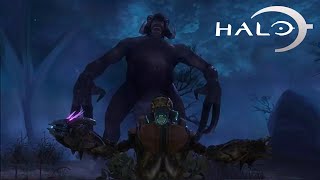 5 criaturas raras de Halo Remake [upl. by Jolyn685]