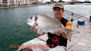 Pêche des grosses dorades de Sète par Europêche34 [upl. by Aggarwal902]