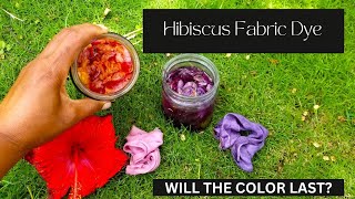 How to Dye Fabric With Hibiscus Flowers and Maintain Color [upl. by Audra]