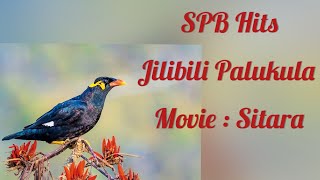 Jilibili Palukula Song  Sitara Movie spbhits spbalasubramaniamsongs ilayaraja by MadhaviPradeep [upl. by Isbella188]