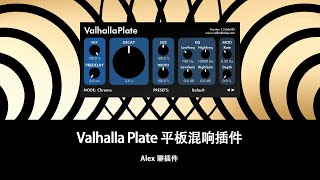 Valhalla Plate 平板混响插件  各种材质带来不同的色彩 [upl. by Malchus]