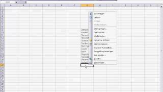 Excel Funktion Dropdown Auswahlliste [upl. by Anaeirb966]